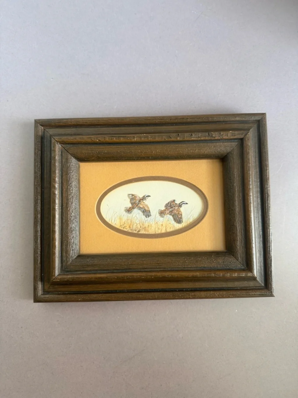 Original Rustic Brown Framed Game Bird Art Print - Home Accents